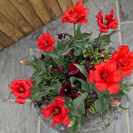 Rosegarth Bed And Breakfast Marton  Bagian luar foto