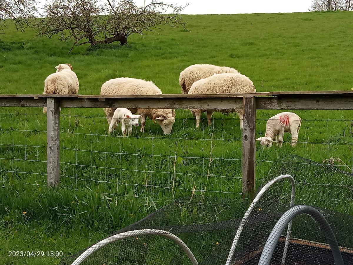 Rosegarth Bed And Breakfast Marton  Bagian luar foto