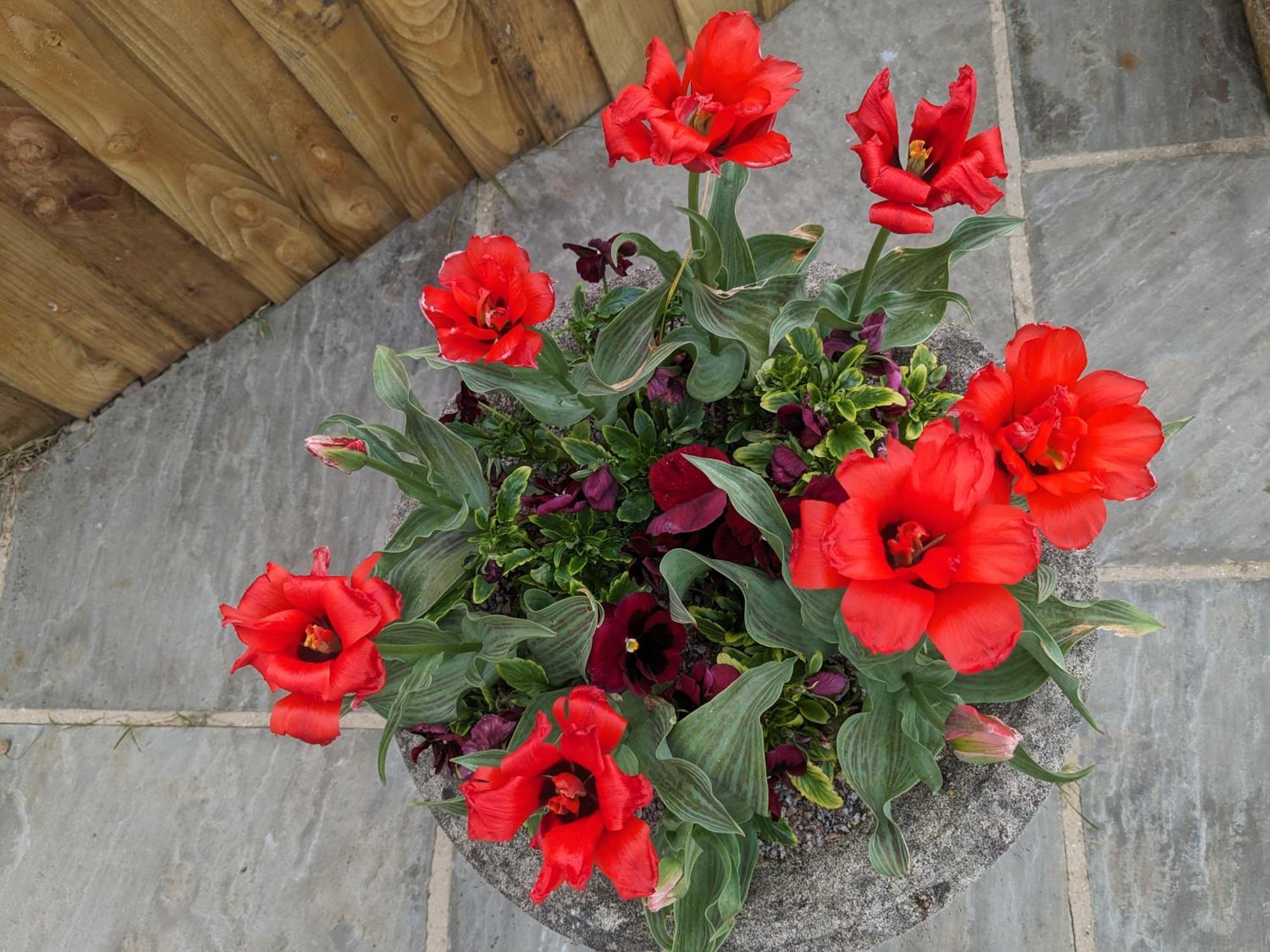 Rosegarth Bed And Breakfast Marton  Bagian luar foto